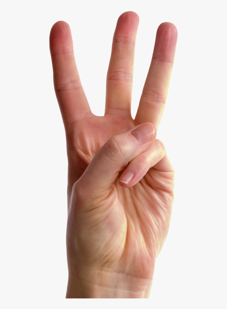 Three Fingers Transparent Images Download - Hand Holding Up 3 Fingers, HD Png Download, Free Download