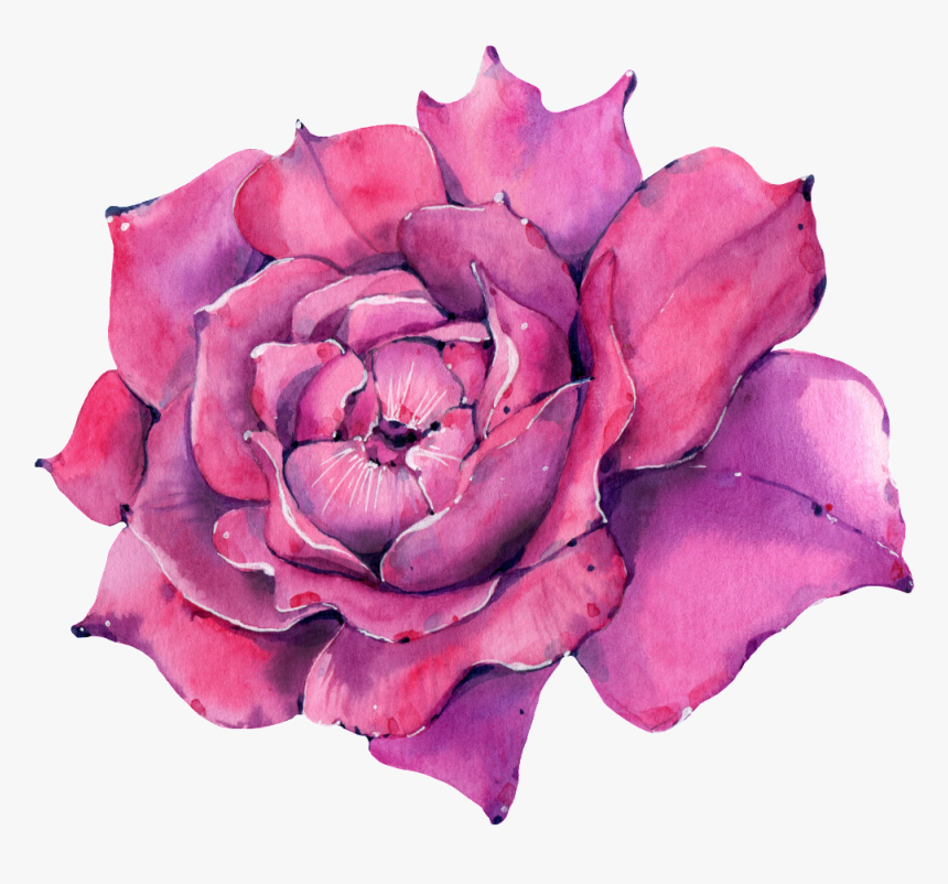 This Graphics Is A Rose Png Transparent About Watercolor,purple - Hybrid Tea Rose, Png Download, Free Download
