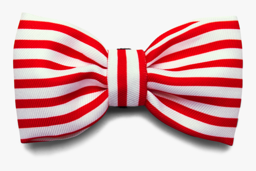 Bali The Dog Zeedog Cadillac Bow Tie For Those James, HD Png Download, Free Download