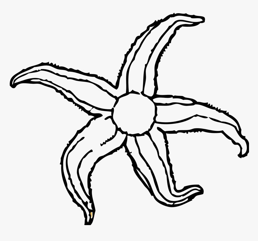 sea creature clipart black and white