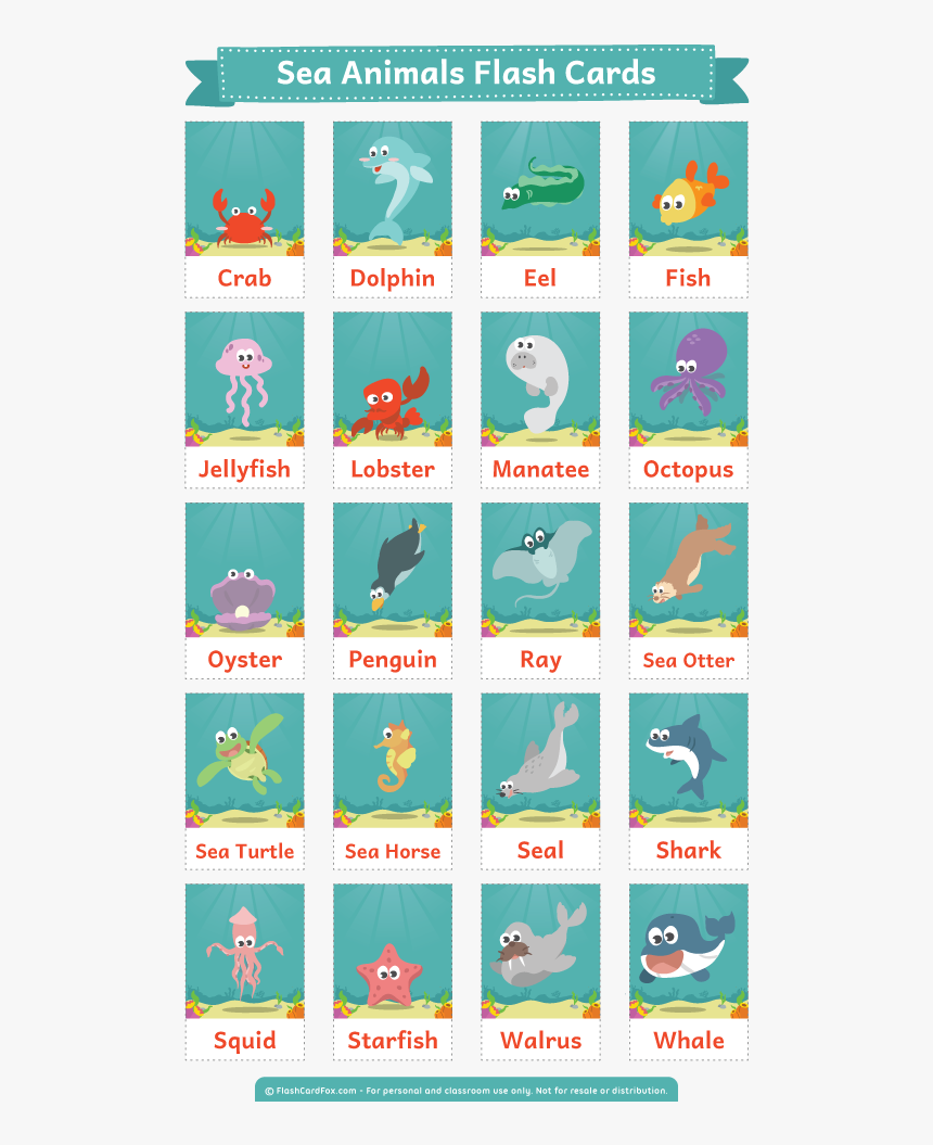 Free Printable Sea Animals Flash Cards - Sea Animals Flashcards Printable, HD Png Download, Free Download