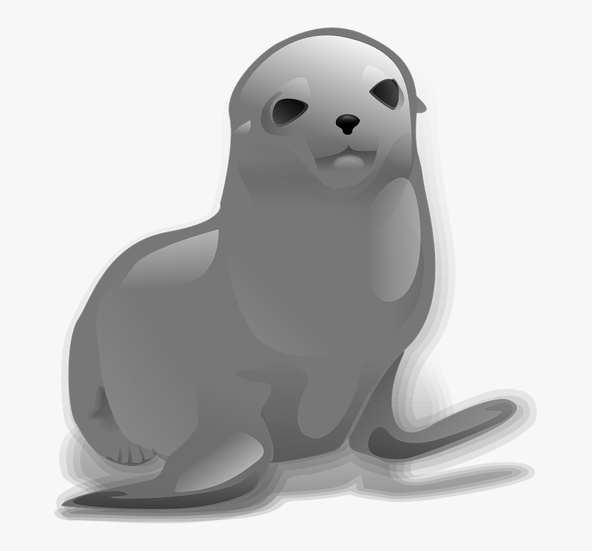 Download Harbor Seal Png Transparent Images Transparent - Seal Clip Art, Png Download, Free Download