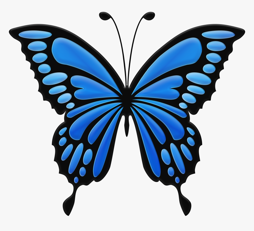 Download Blue Butterfly Clipart Png Photo Transparent, Png Download, Free Download