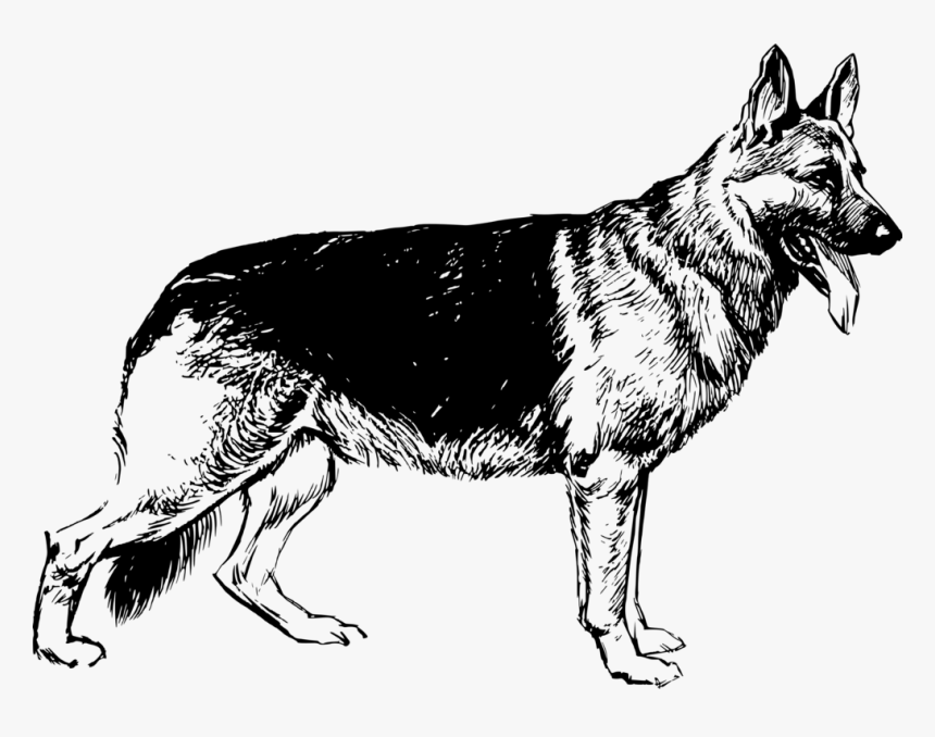 Dog Clipart German Shepherd - German Shepherd Black And White, HD Png Download, Free Download