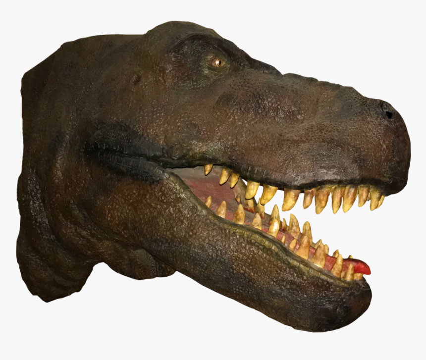 T Rex Head Png, Transparent Png, Free Download