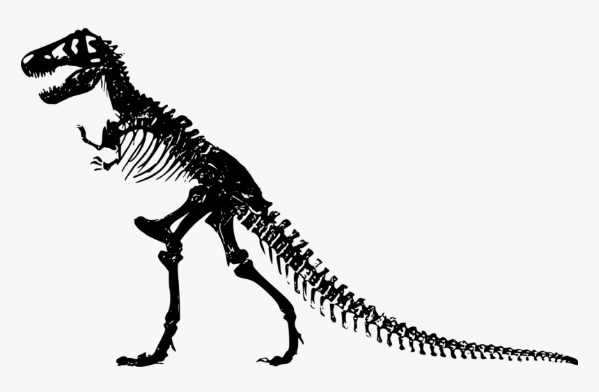 Jurassic Park T Rex Skeleton, HD Png Download, Free Download