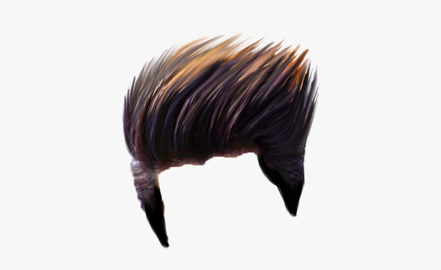 Hair Png Photo - Wild Turkey, Transparent Png, Free Download