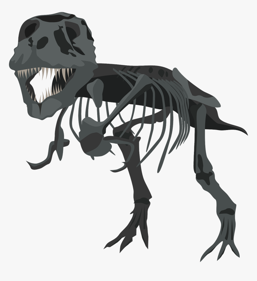 Tyrannosaurus Rex, Dinosaur, Dino, Carnivore, Skeleton - Skeleton Dinosaurus Vectors, HD Png Download, Free Download