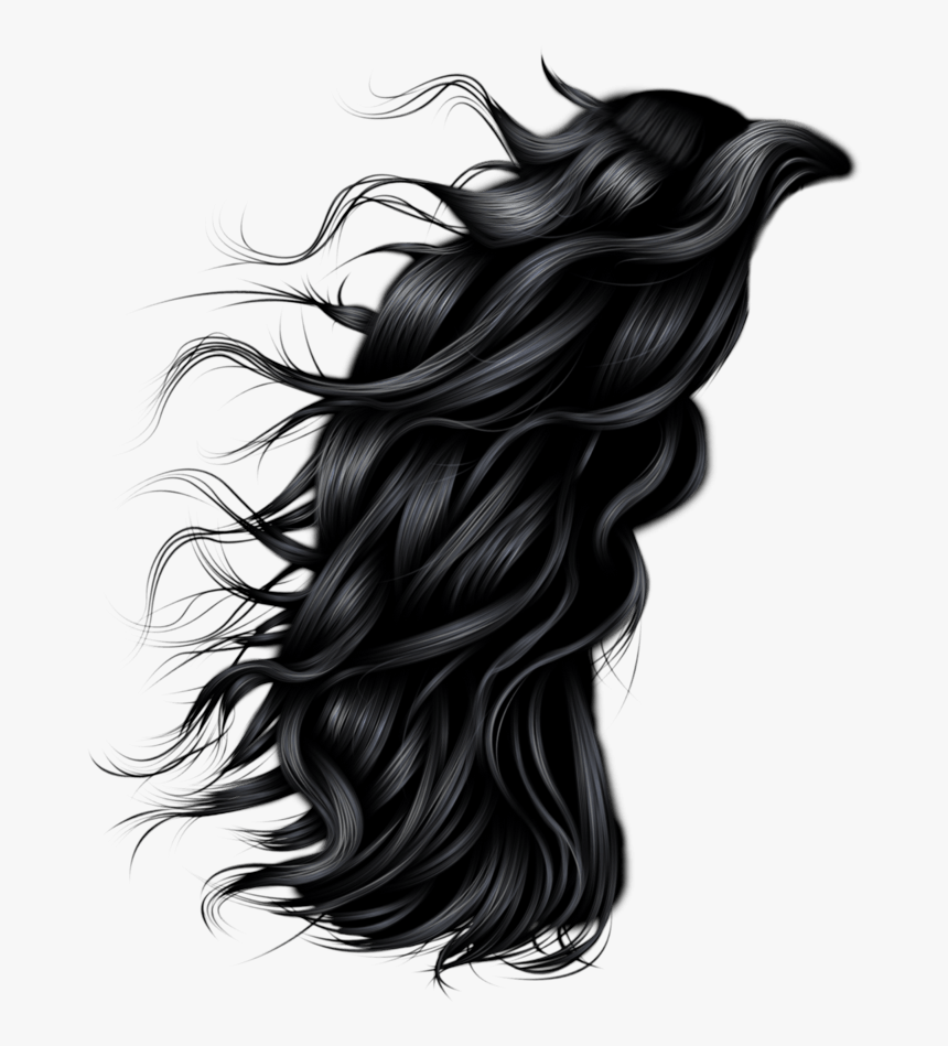 28 Women Hair Png Image - Long Hair Men Png, Transparent Png, Free Download