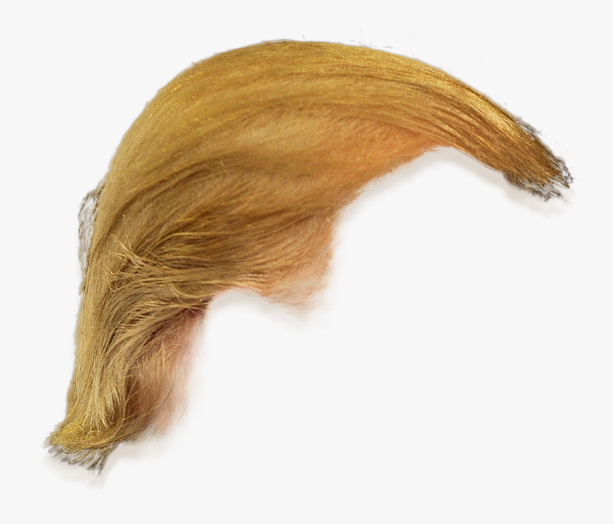 Liver - Donald Trump Hair Only, HD Png Download, Free Download