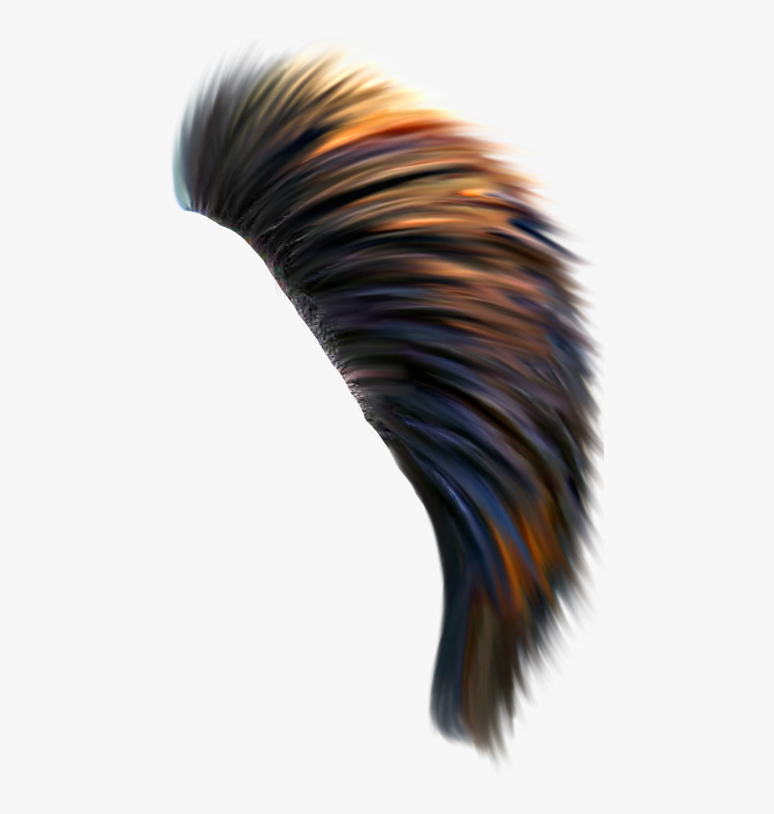 Background Hair Png Download, Transparent Png, Free Download