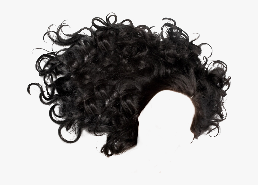 11 2 Hair Png - Black Curly Hair Png, Transparent Png, Free Download