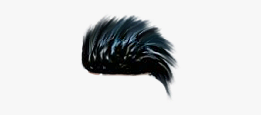 Porcupine, HD Png Download, Free Download