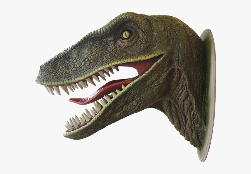 Dinosaur Png - Dinosaur Head, Transparent Png, Free Download