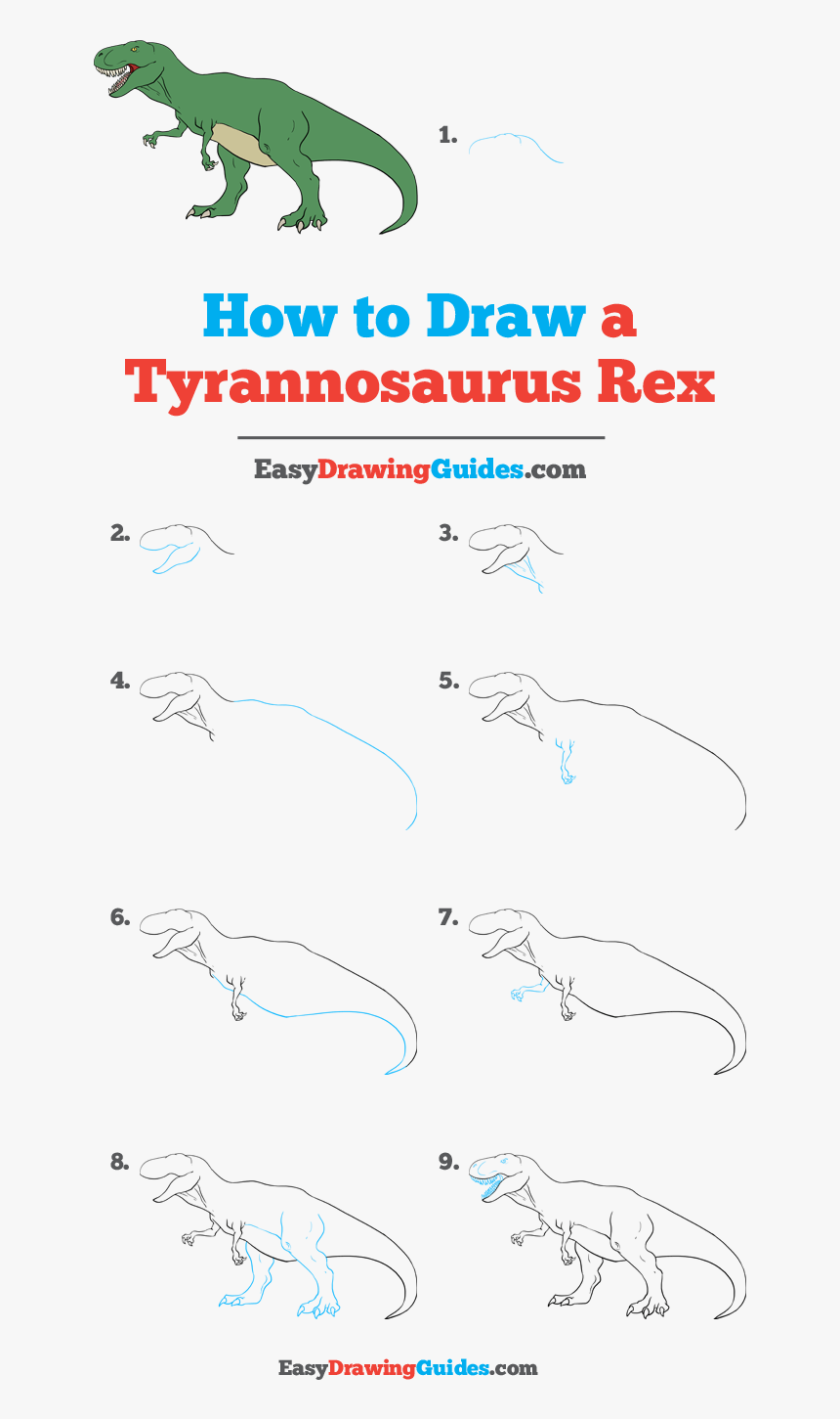 How To Draw Tyrannosaurus Rex - Drawing Easy Guide, HD Png Download, Free Download