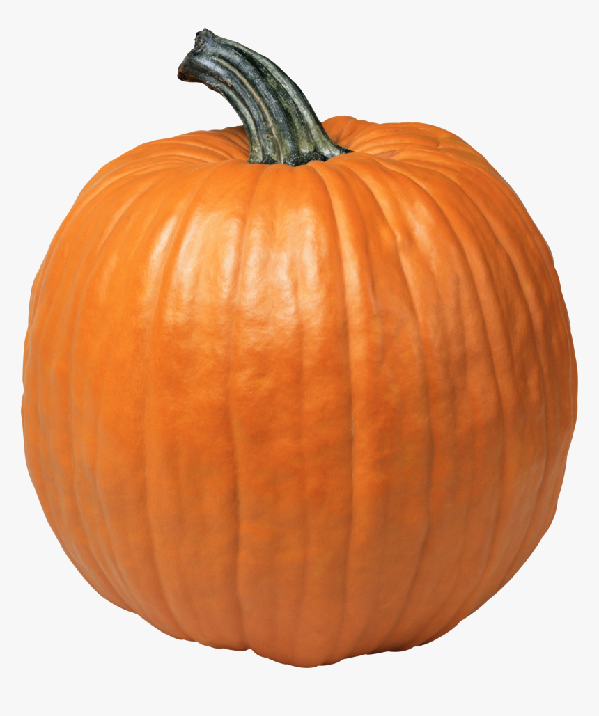 Pumpkin Png Image - Pumpkin Png, Transparent Png, Free Download