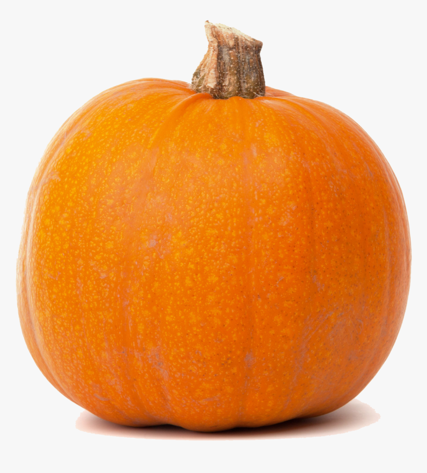 Free Pictures Of Pumpkin Isolated, HD Png Download, Free Download