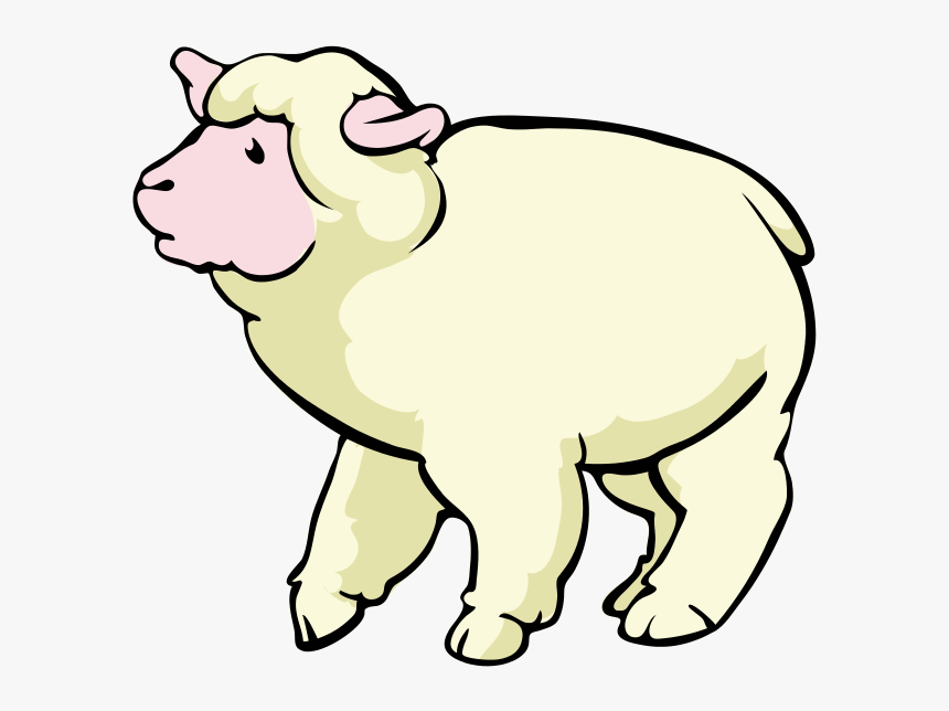 Sheep Baby Lamb Transparent Image Clipart - Sheep Cartoon, HD Png Download, Free Download
