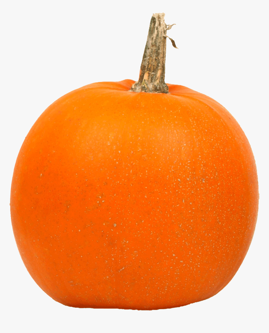 Free Big Pumpkin Png Image - Pumpkins In A Row, Transparent Png, Free Download
