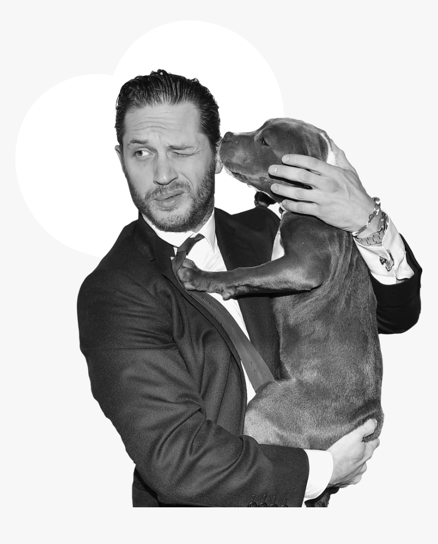 Tom Hardy Dog - Tom Hardy And Dog At Premiere, HD Png Download, Free Download