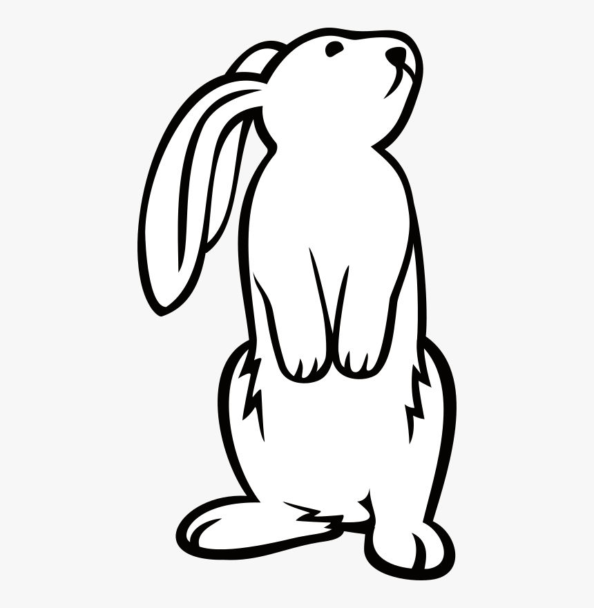 Clipart - Bunny Standing Up Drawing, HD Png Download, Free Download