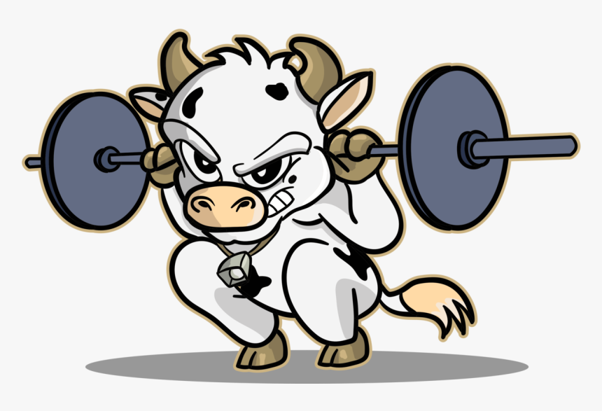 Support Belts Wodstaff - Animals Lifting Weights Clipart, HD Png Download, Free Download