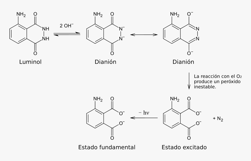 Reacciones-luminol - Svg - Meerrettichperoxidase Luminol, HD Png Download, Free Download
