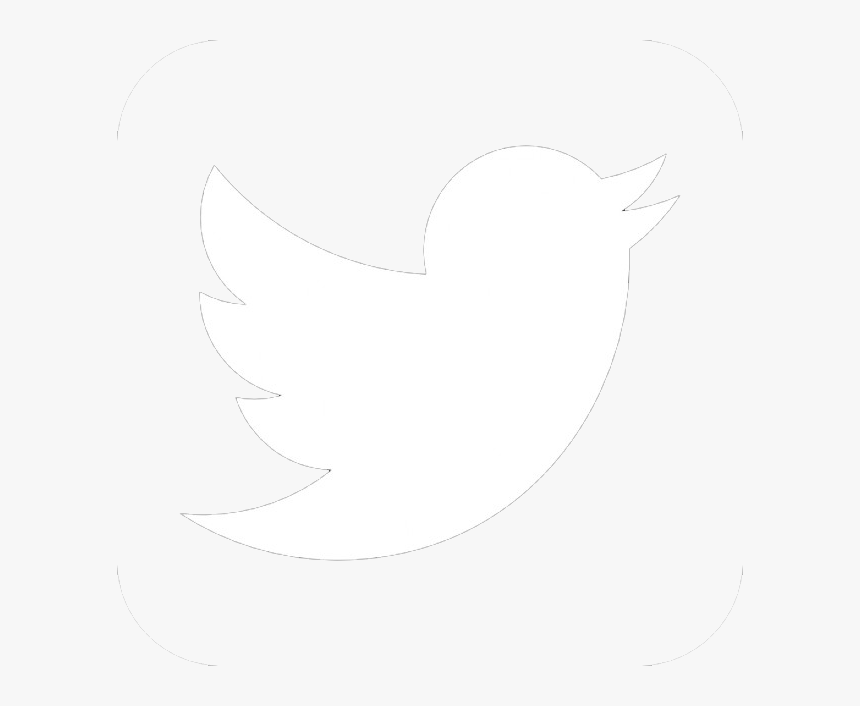 Trompeta Solista/soloist Trumpet - Twitter Logo Transparent White Png, Png Download, Free Download