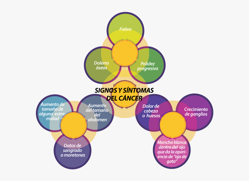 Signos Y Sintomas Del Cancer, HD Png Download, Free Download