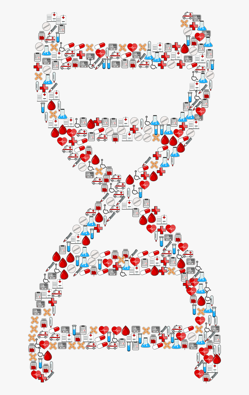 Adn Circulante - Molecular Biology Clipart, HD Png Download, Free Download