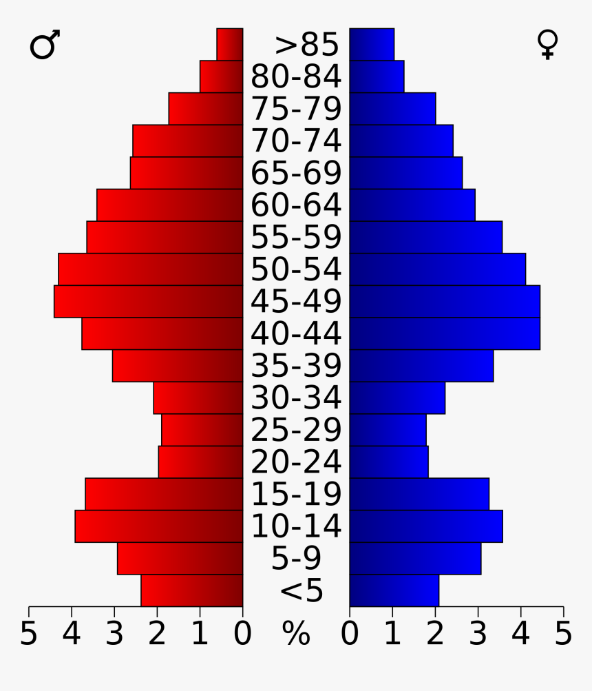 Usa Calaveras County, California Age Pyramid - Population Pyramid Los Angeles, HD Png Download, Free Download