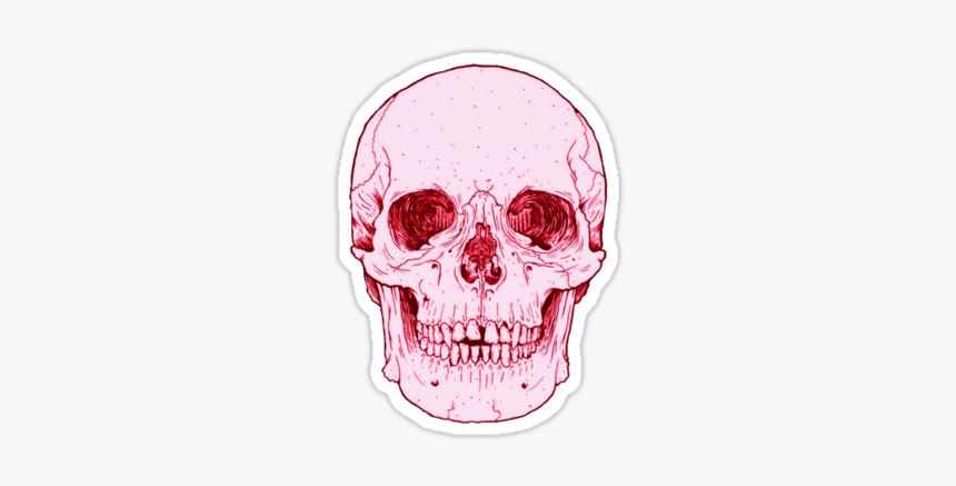 #calavera #calaveras #pink #esqueleto #craneo #huesos - Tattoo Skull Front, HD Png Download, Free Download