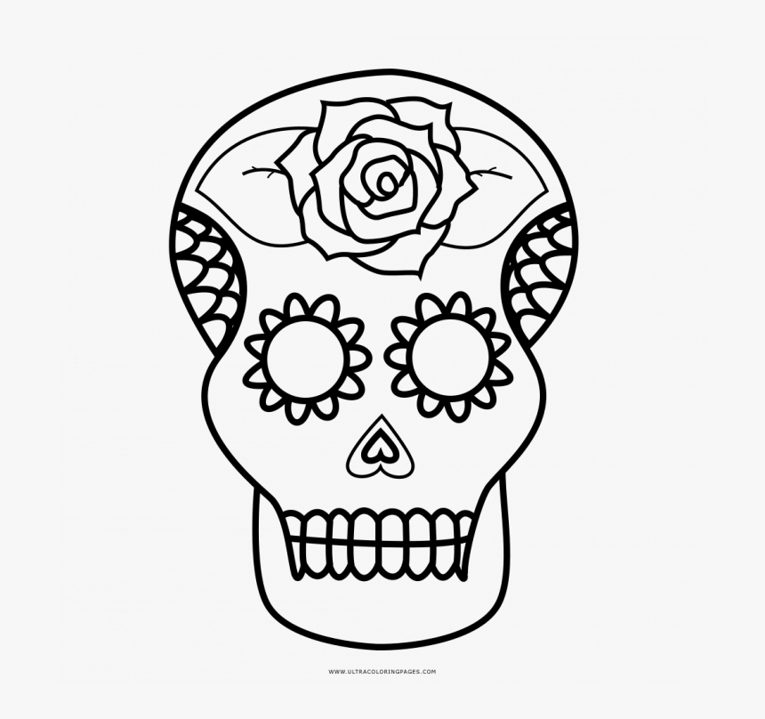 Medium Size Of Coloring Page - Calavera Coloring Page, HD Png Download, Free Download