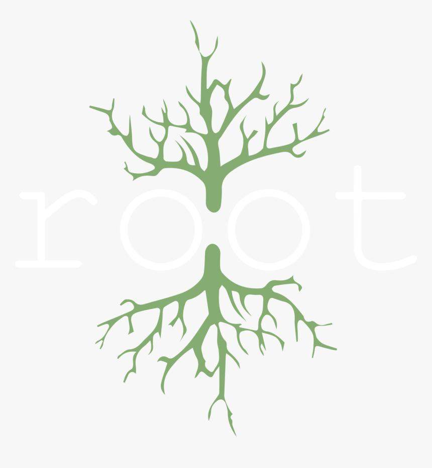 Transparent Background - Root, HD Png Download, Free Download