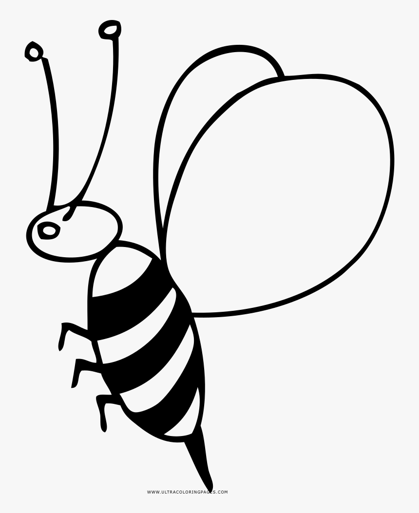 Transparent Abeja Clipart, HD Png Download, Free Download