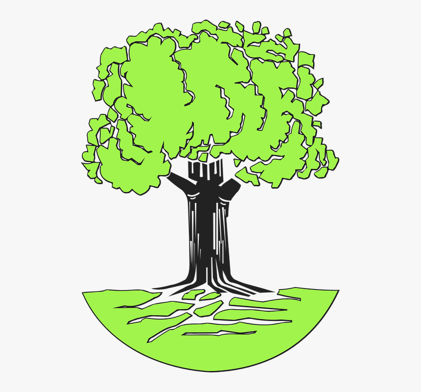 Tree, Stem, Roots, Leaves, Nature, Green, Grass, Wood - Johann Pachelbel Family Tree, HD Png Download, Free Download