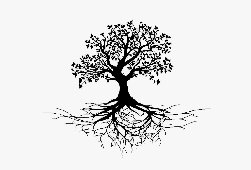 Vector Royalty Free Library Roots Transparent Black - Tree With Roots Png, Png Download, Free Download