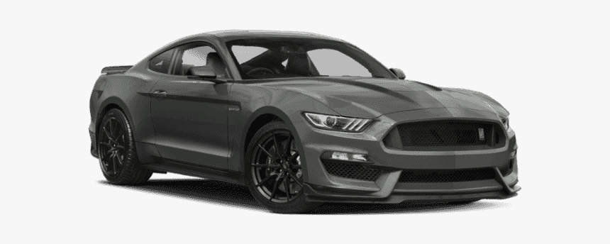 New 2019 Ford Mustang Shelby Gt350 Fastback - Shelby Gt350 Mustang 2018, HD Png Download, Free Download