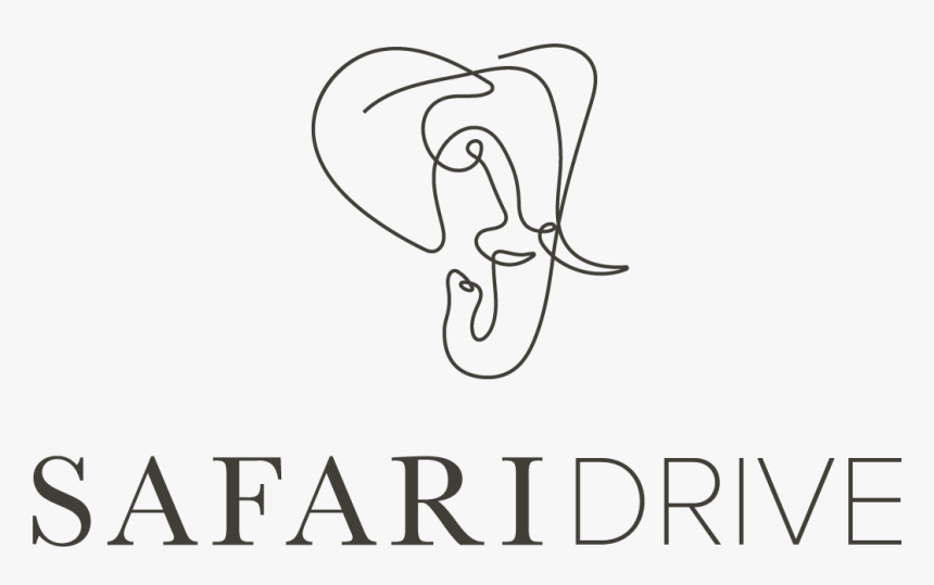 Safari Drive - Safari Logo, HD Png Download, Free Download