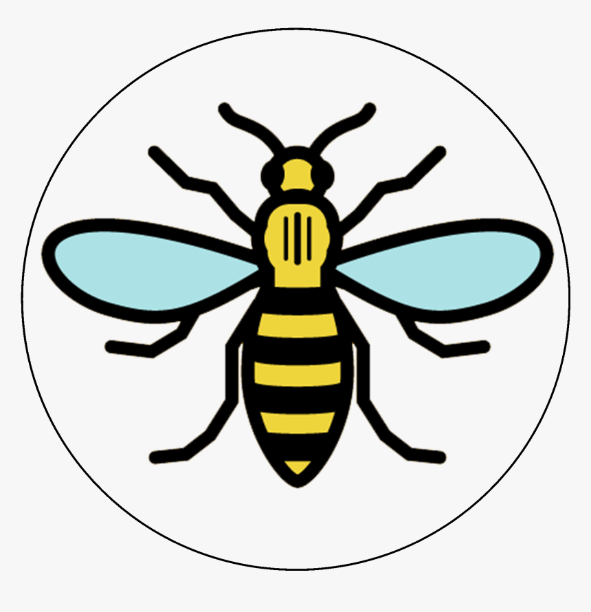 Manchester Bee Logo Png, Transparent Png, Free Download