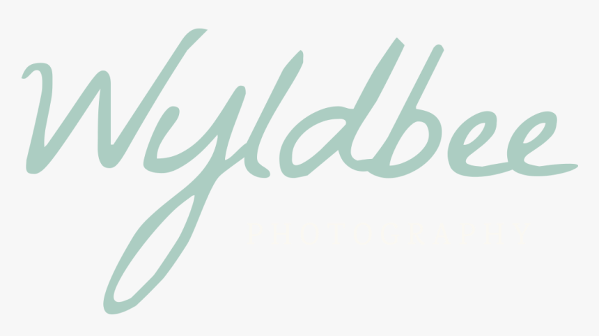 Wyldbee Photography - Calligraphy, HD Png Download, Free Download