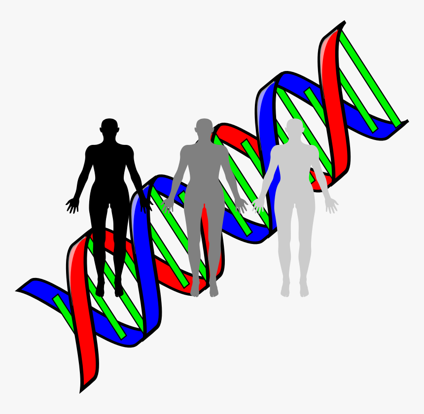 Human Cloning - Cloning Clipart, HD Png Download, Free Download