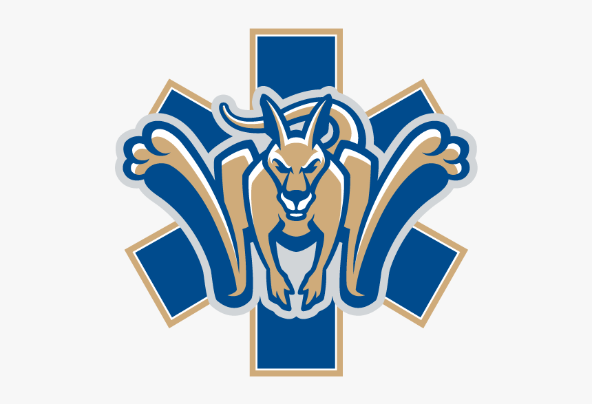 Ems Logo - Suny Canton Kangaroos Logo, HD Png Download, Free Download