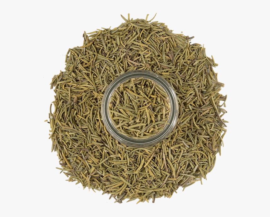 Whole Rosemary Needles 3 - Kukicha, HD Png Download, Free Download