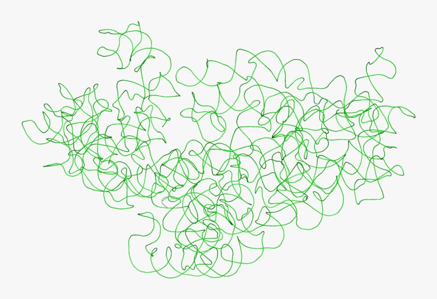 16s Ribosomal Rna - Drawing, HD Png Download, Free Download