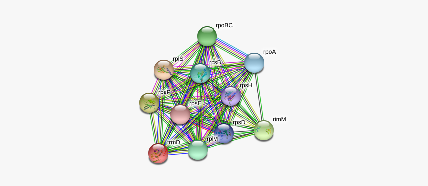 Trmd Protein - Circle, HD Png Download, Free Download