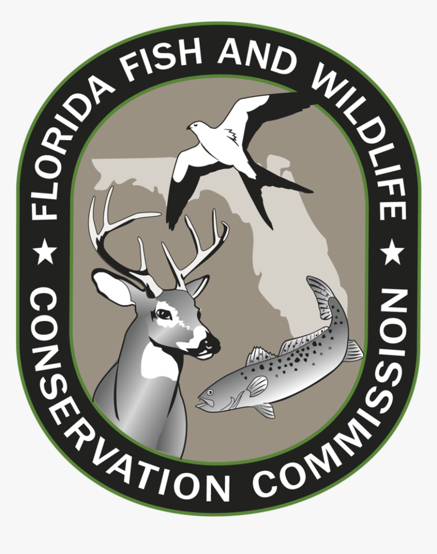 Florida Fish And Wildlife Conservation Commission, HD Png Download, Free Download