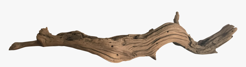 Clip Art Driftwood Vector - Driftwood, HD Png Download, Free Download