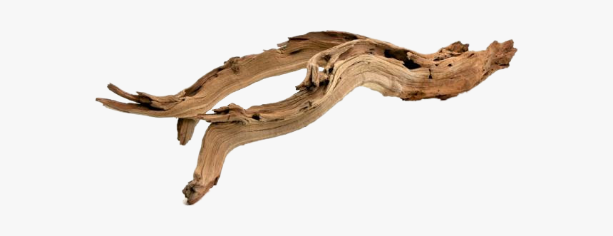 Koyal Wholesale California Driftwood With Natural, HD Png Download, Free Download