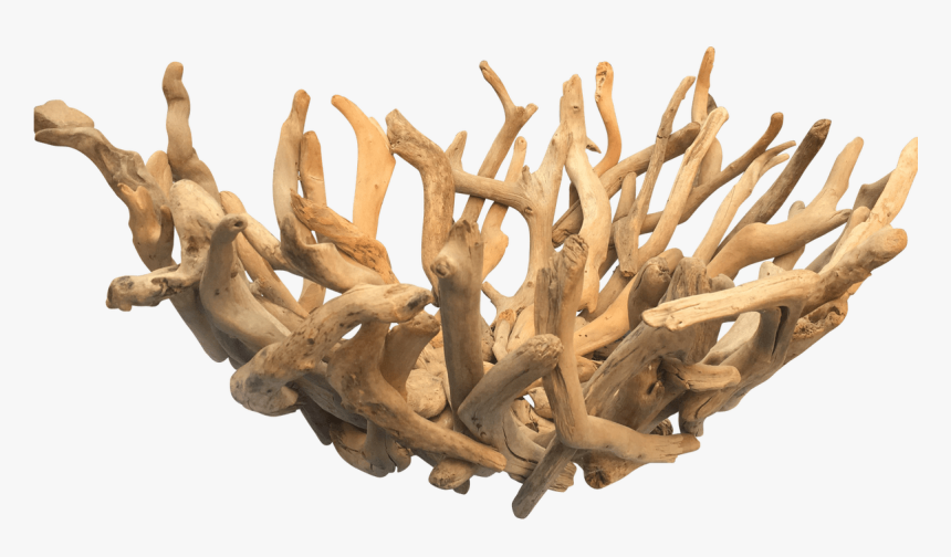 Driftwood, HD Png Download, Free Download